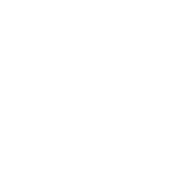 chm-logo-light_256x256
